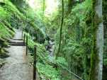 Chemin des Gorges en environnement verdoyant (2)